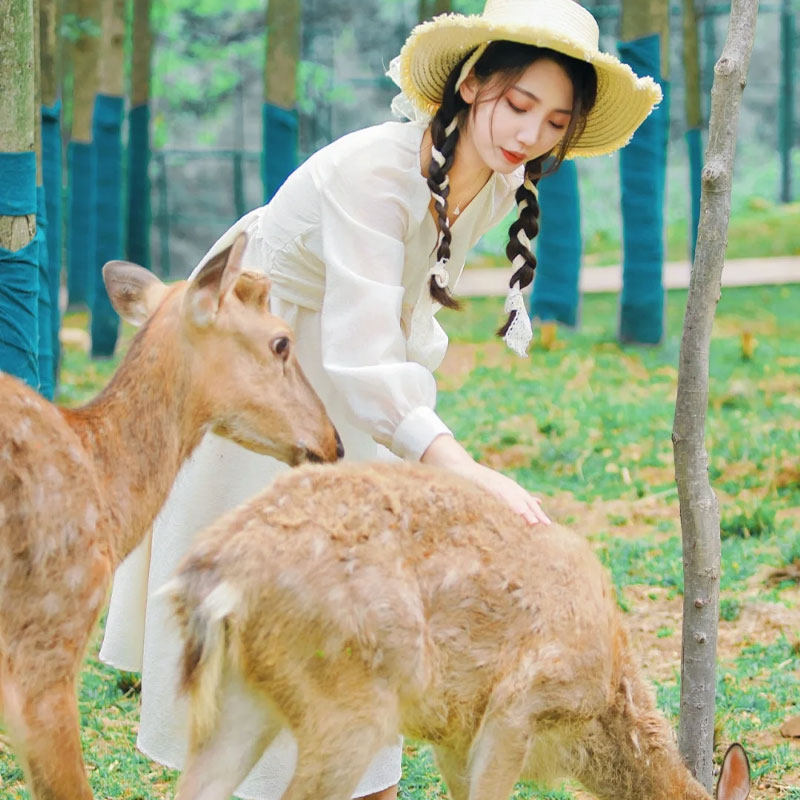 双人道温泉门票+双人茅山森林世界2日无限次门票+双人2日森林小火车/观光车