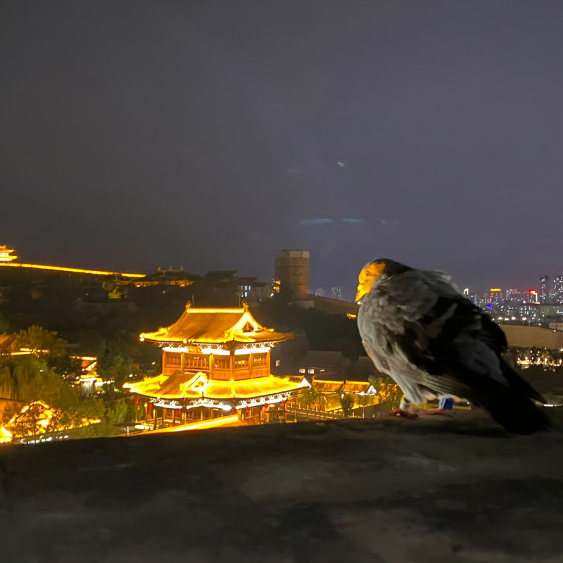 【山西旅游】花筑·陌野月色温泉民宿+忻州古城/自驾游2天1夜