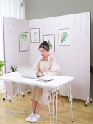 Phong cách Trung Quốc mới vách ngăn phòng khách văn phòng gấp di động đơn giản ánh sáng hiện đại phòng ngủ sang trọng chặn màn hình gập nhà tấm compact hpl vách tường thạch cao
