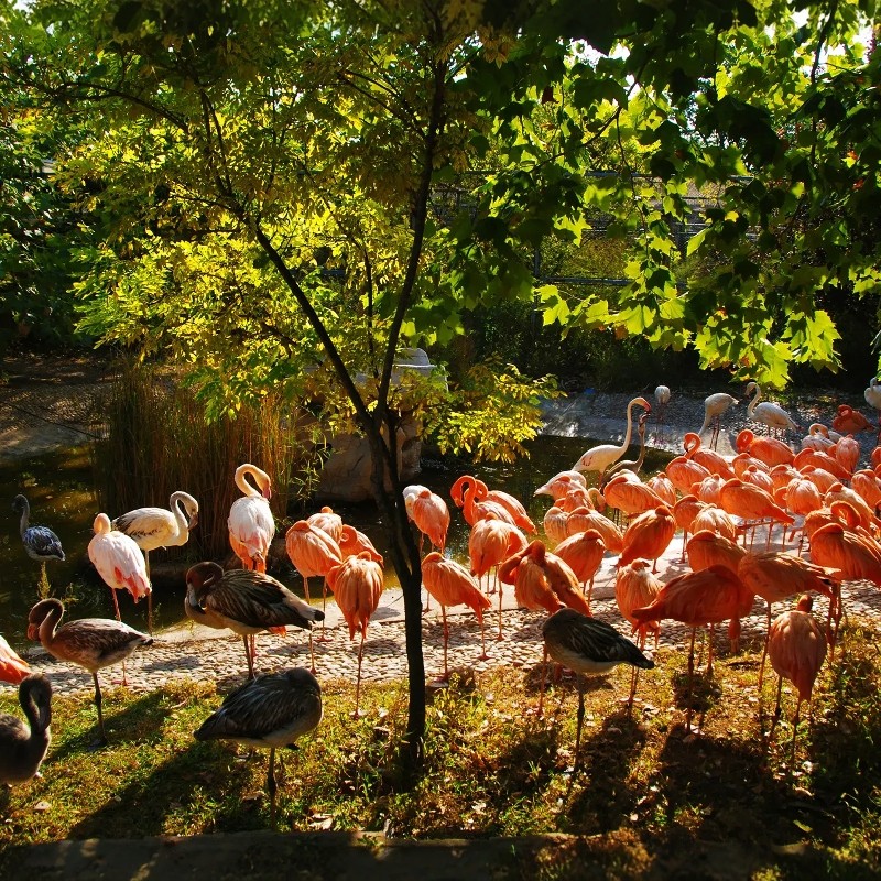 【中秋国庆】大连星海广场圣亚海洋世界轻居酒店+大连森林动物园贝壳博物馆门票3天2晚