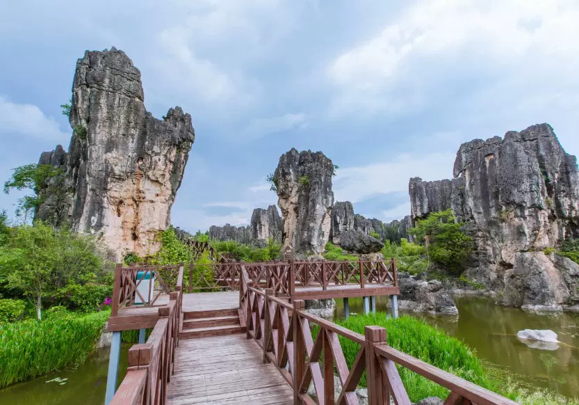 杏林大观园黑石箐景区-紫腾长廊图片