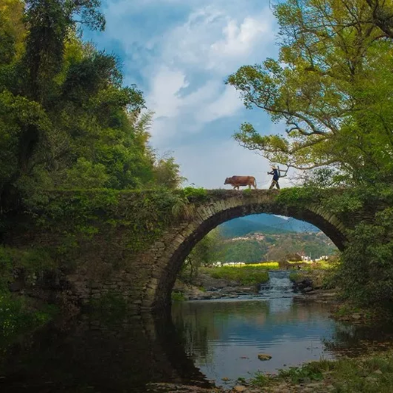 婺源查平坦理坑察关虹关漳村一日游2-6人团 天上人家网红石拱桥 - 定制游预订