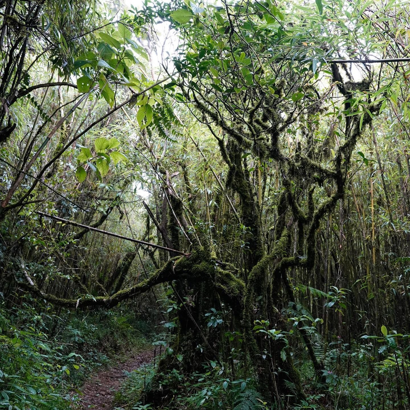 腾冲亲子游5天4晚私家团 高黎贡山北海湿地和顺古镇内设计美宿 - 定制游预订