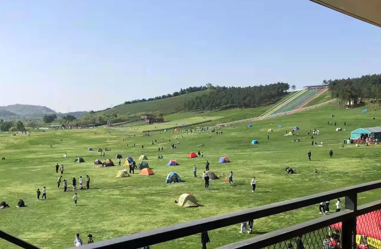 湖州飞鸿滑草场图片