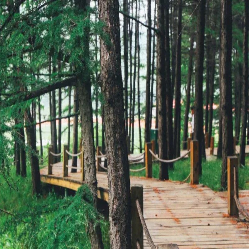 元旦寒假春节套餐 崇礼自由行1-5日 崇礼翠云山皇冠假日度假酒店1晚2日 可选其他酒店