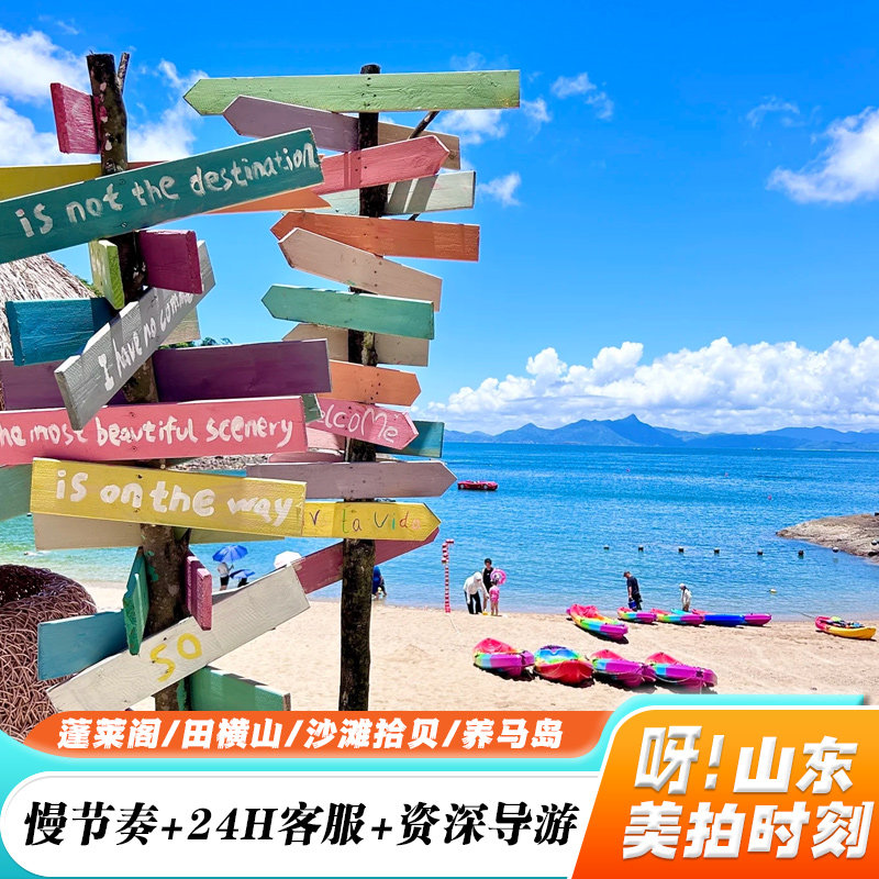 烟台旅游一日游纯玩跟团游8人团 蓬莱阁/田横山/沙滩拾贝/养马岛 - 定制游预订