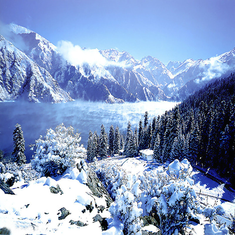 新疆旅游昌吉天山天池拼车1日游,2人起订2人起发 - 定制游预订