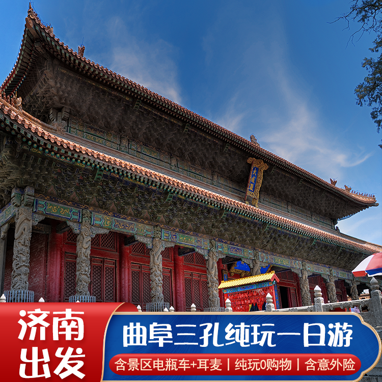 山东济南旅游到曲阜三孔孔林孔府孔庙纯玩一日游含门票景交耳麦 - 定制游预订