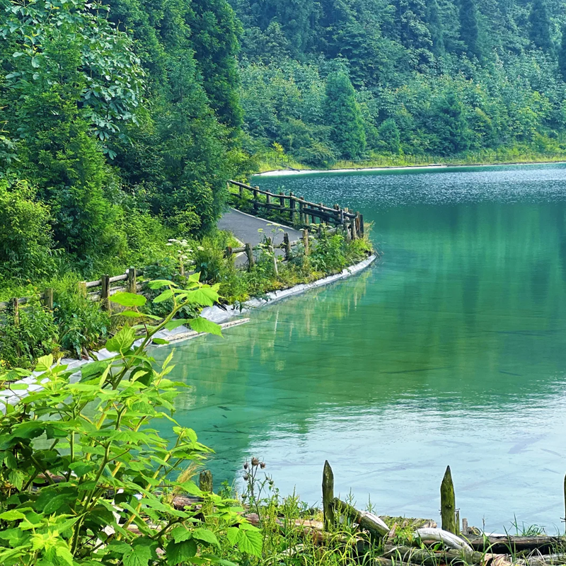 【2大1小】武陵山森林公园酒店2天1晚+武陵山森林公园门票3张+3份早餐