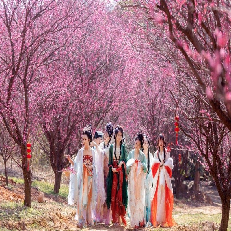 全年可约|德清高铁站开元颐居酒店1晚+天际森谷双人票