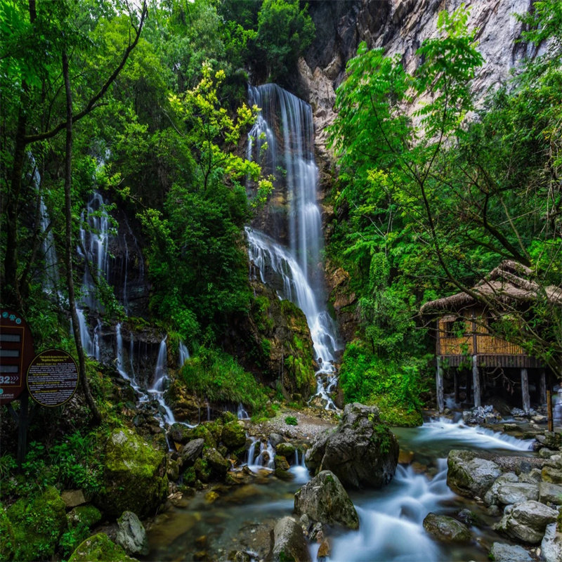 『私家包车游』武汉+宜昌三峡+神农架+大九湖全景大环线 7日游 - 定制游预订