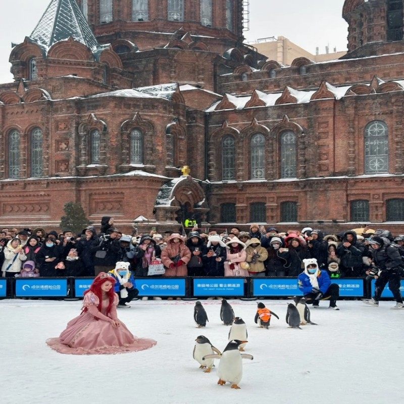 哈尔滨二十三号公馆酒店(中央大街索菲亚教堂店)2天1晚+哈尔滨极地公园多馆