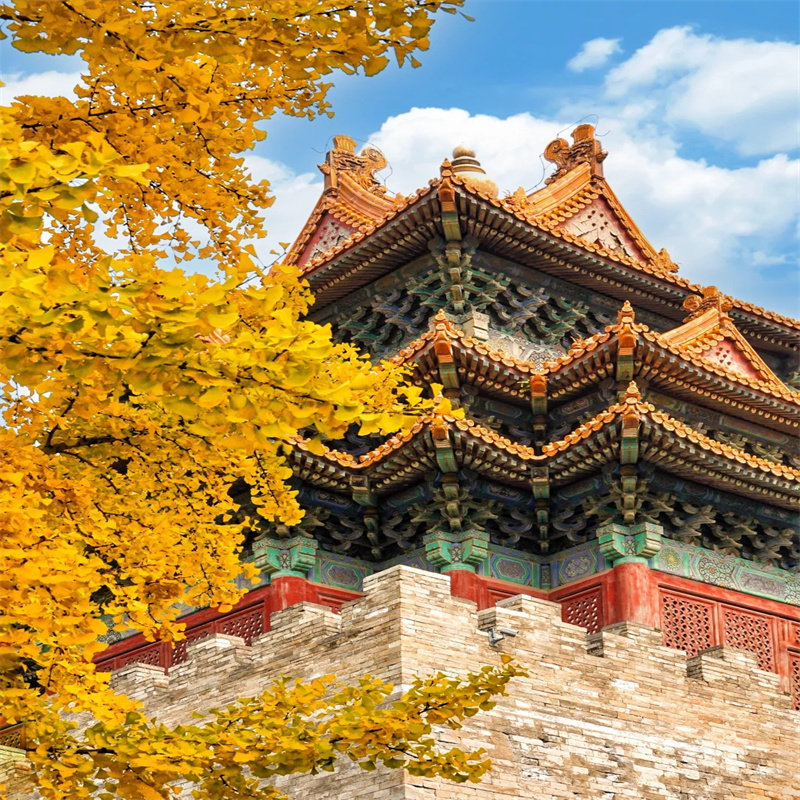 北京故宫八达岭长城天安门颐和园9天8晚 - 定制游预订