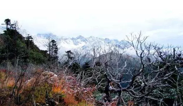 黑水河省级自然保护区图片