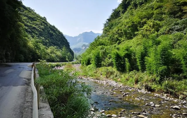 窑湾森林公园图片