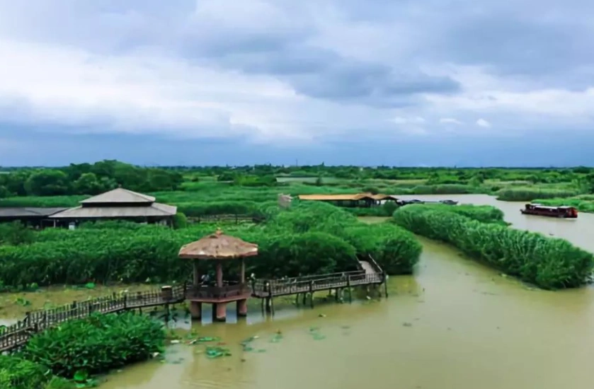 下渚湖国家湿地公园-湿地迷宫区图片