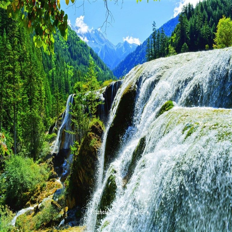 四川阿坝九寨沟 丽呈华廷度假酒店+爱情海景区门票5天4晚单人套餐