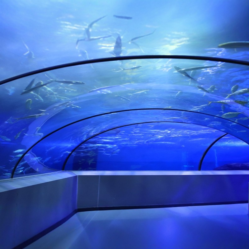 洛阳-半山四季温泉酒店(洛阳龙门高铁站店)3天2晚自由行随心选+老君山门票