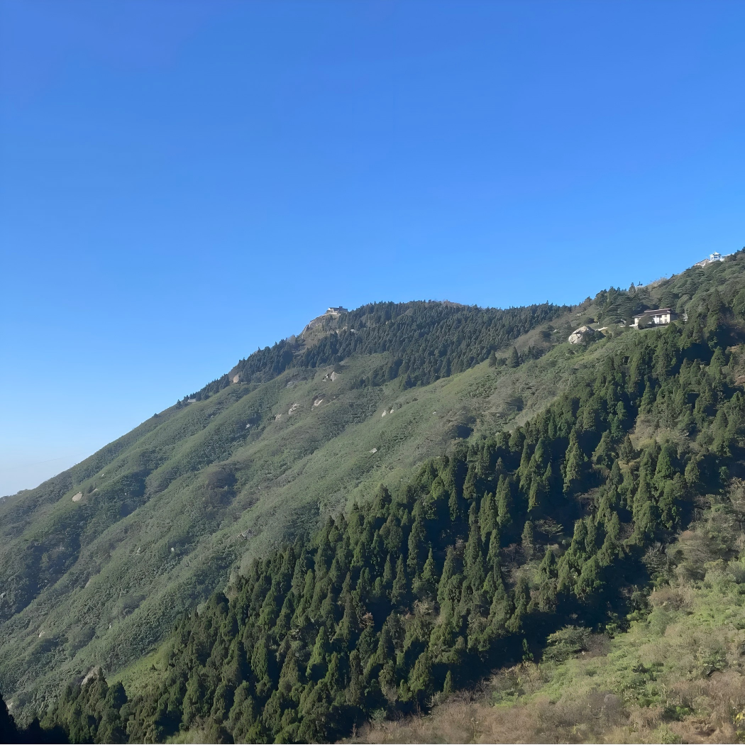 齐齐哈尔美希酒店住宿+扎龙生态圈成人门票