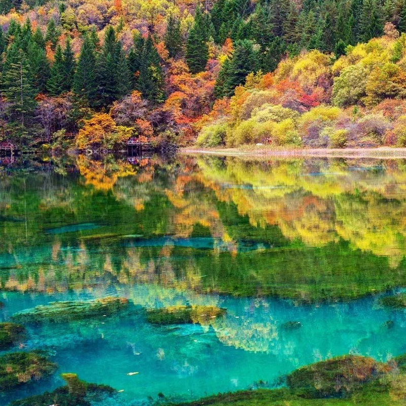 汽车出游四川九寨沟3天2晚自由行 - 定制游预订