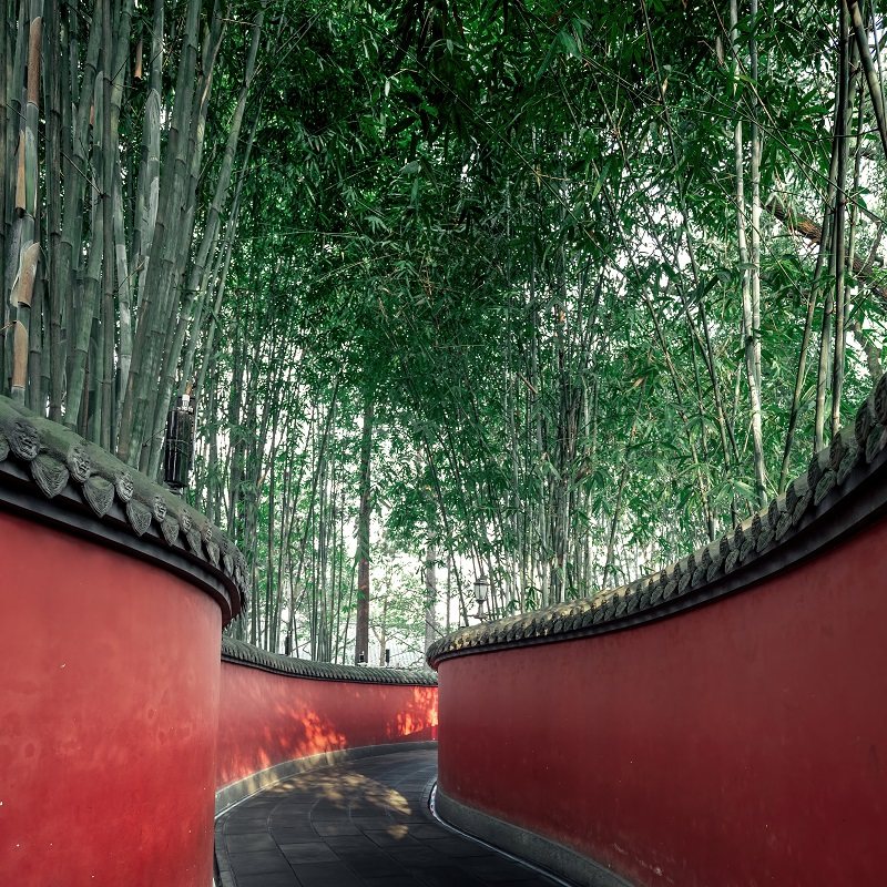 漫游双城5天4晚重庆李子坝白鹤梁816工程成都武侯祠杜甫草堂熊猫 - 定制游预订