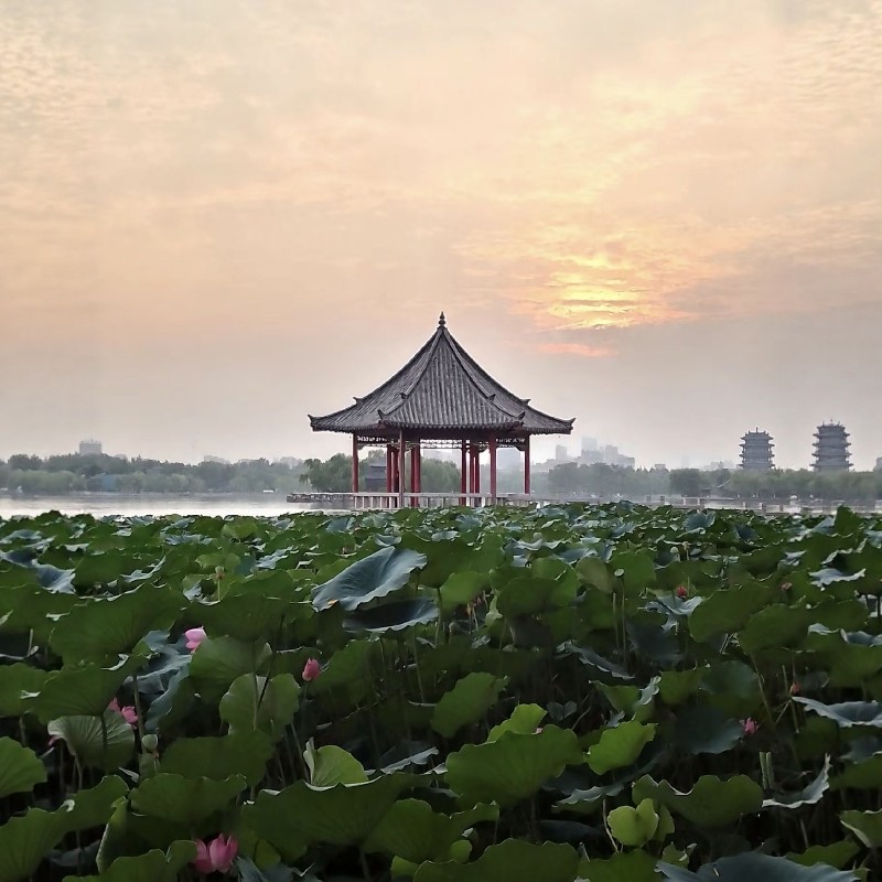 【打卡中式浪漫】3天2晚山东济南花间堂+济南5A风景区一卡畅游