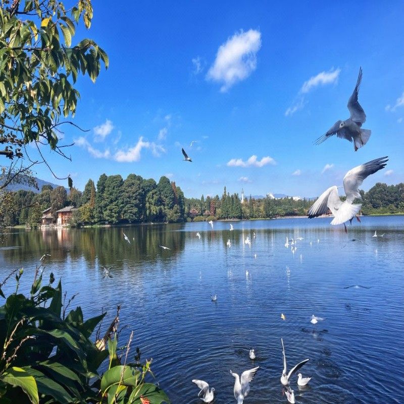 元旦春节假期可定 云南大理自由行1-5日 大理洱海希尔顿惠庭酒店 4晚5日 可选其他酒店