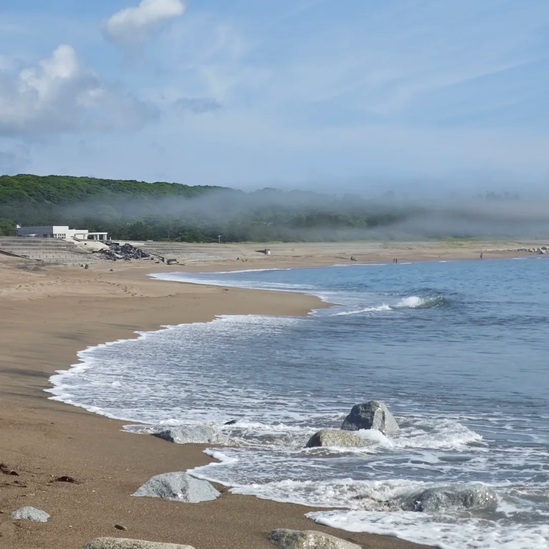 盐城大洋湾希尔顿逸林酒店住宿+中华麋鹿园成人门票