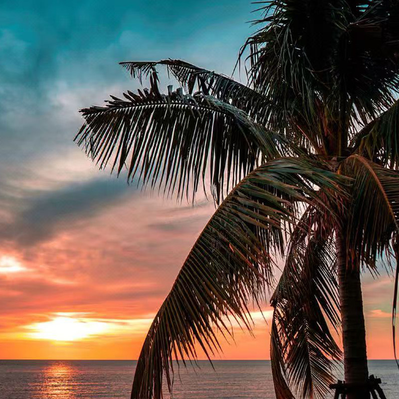 【暖冬·元旦·春节】2天1晚海南昌江棋子湾开元度假酒店+双早+下午茶+糟粕醋+赶海体验