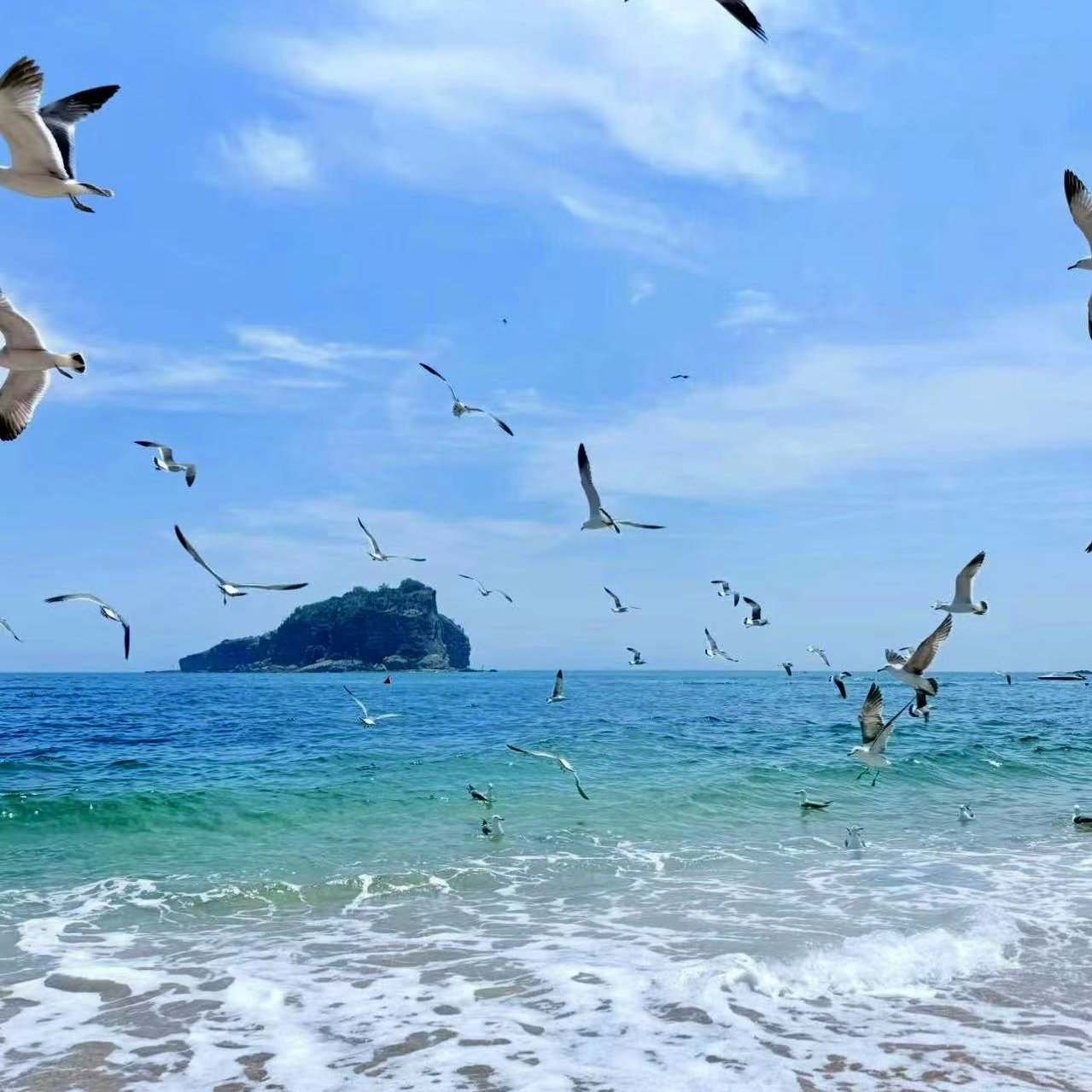 三亚蜈支洲岛珊瑚酒店住宿+蜈支洲岛成人门票+往返船票 - 定制游预订