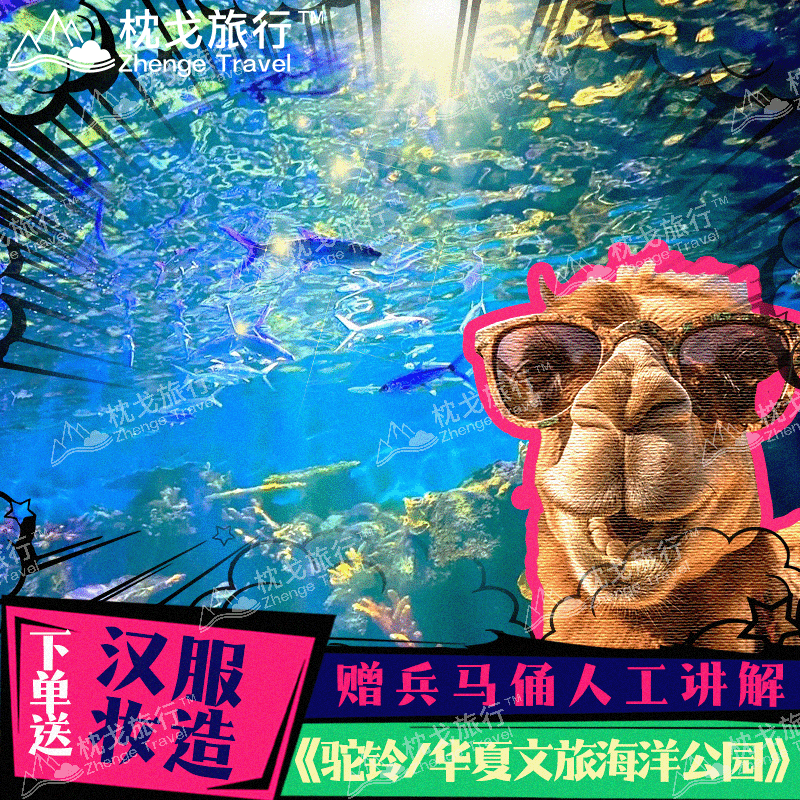 西安华夏文旅海洋公园+驼铃传奇 联系客服选席位场次1日 - 定制游预订