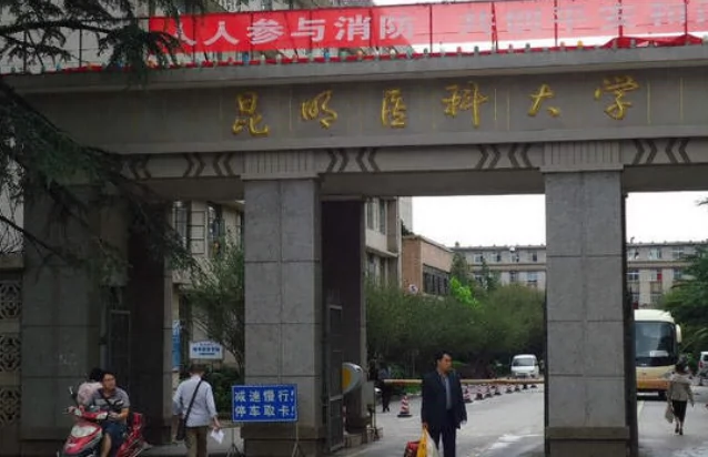 昆明医科大学(平政校区)图片