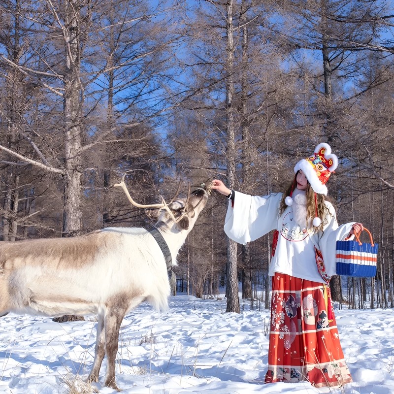 冬季呼伦贝尔大草原6天5晚纯玩私家小团 滑雪骑马驯鹿内蒙古旅游 - 定制游预订
