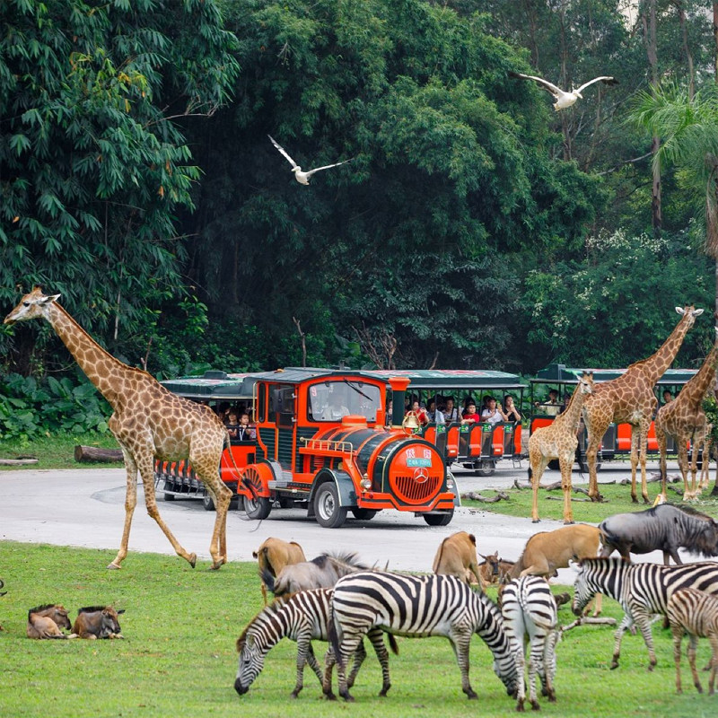 【错峰出游】广州长隆熊猫酒店 香江酒店3天2晚含动物世界 马戏套餐