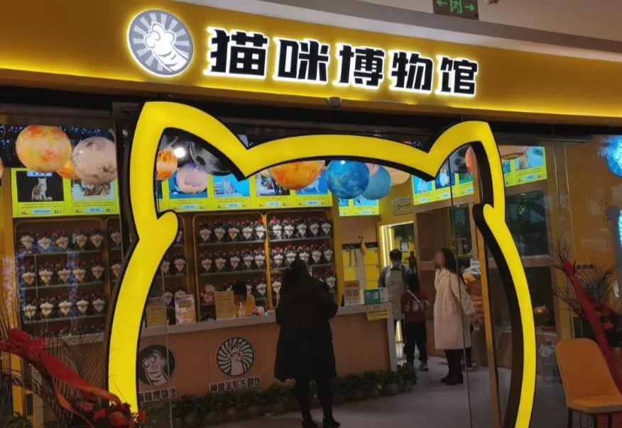 猫咪博物馆(吾悦广场店)图片