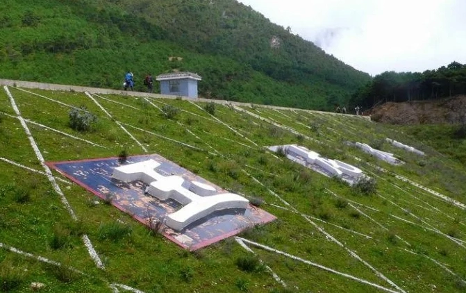 丽江高山植物园图片