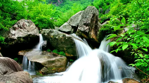 卧龙谷生态旅游区图片