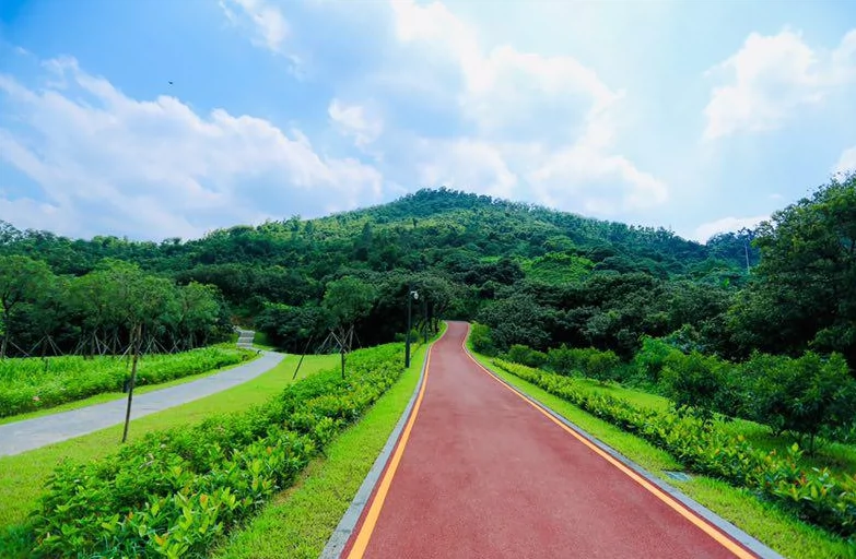 淘金山绿道图片