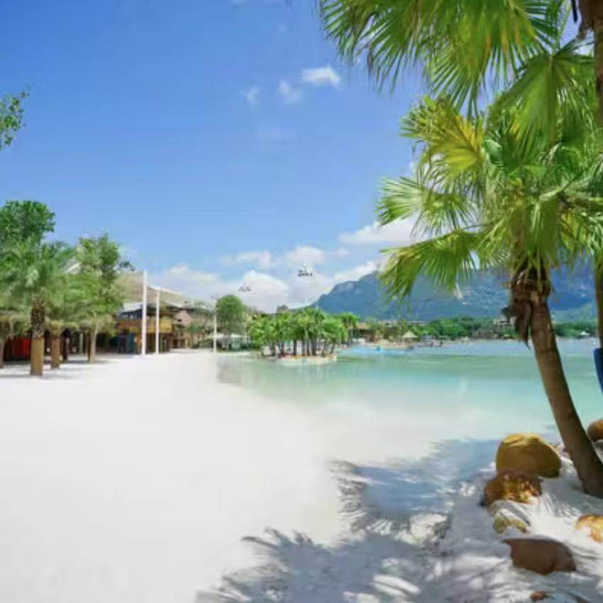 广州往返增城 森林海温泉2天半自助游,纯玩无自费,享用2自助餐 - 定制游预订