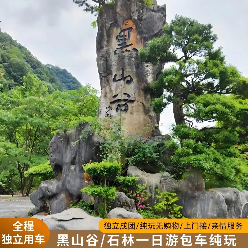 重庆出发万盛黑山谷/石林一日游包车纯玩省心 亲情服务可制定 - 定制游预订