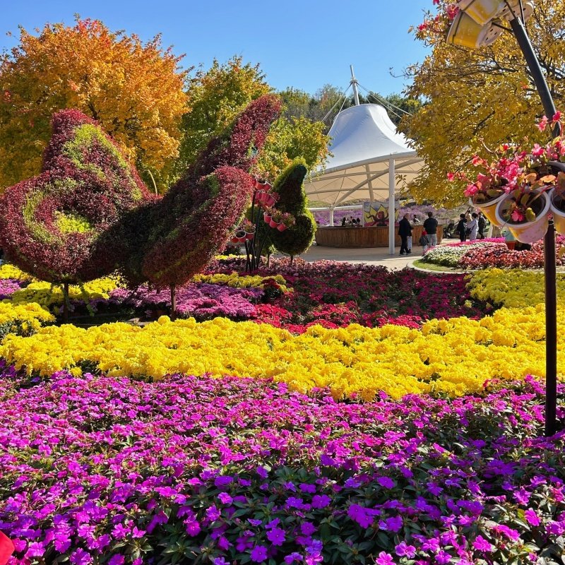 天润悦致酒店(沈阳桃仙机场省博物馆店)1晚+沈阳世博园门票