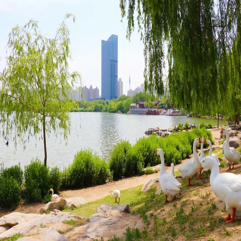 【元旦抢先购】开封3天2晚/大宏喜来登酒店/开封开元名都大酒店+双人万岁山武侠城 - 定制游预订