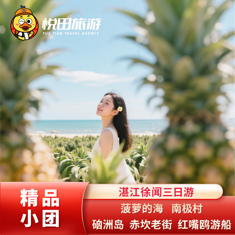 湛江徐闻3日游2-6人团菠萝海南极村硇洲岛赤坎老街红嘴鸥包车旅游 - 定制游预订