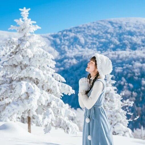 包机票新疆冬季滑雪+住禾木景区+赛里木湖魔鬼城8天7晚专车自由行 - 定制游预订