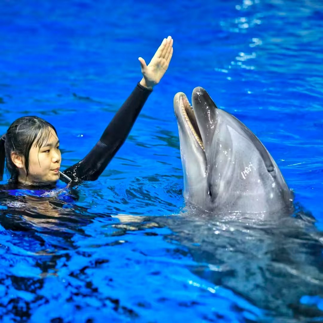 【畅享】合肥天源迪科国际会议中心酒店商务套房5天4晚+海洋世界