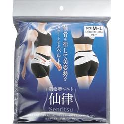 Directly Mailed From Japan, The Healer's Immortal Law Body Correction Belt Comes In One Package