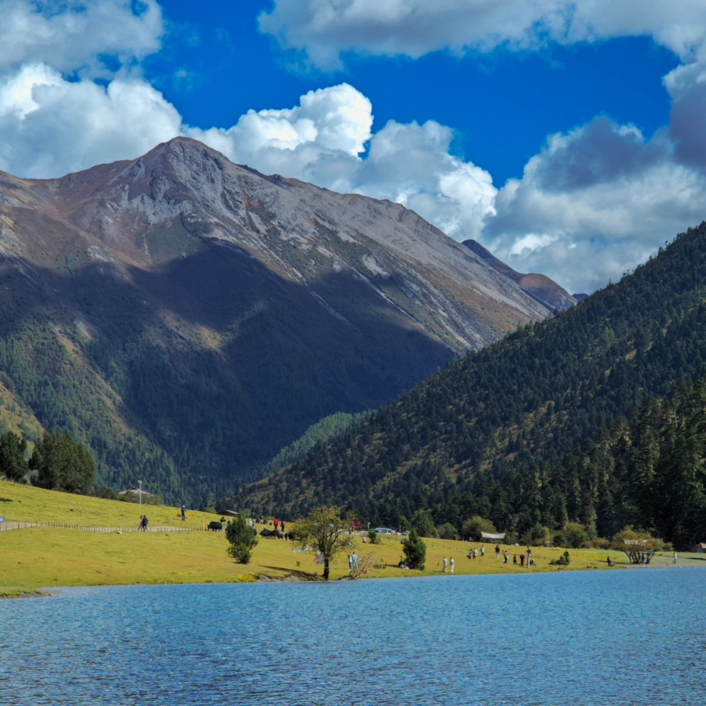 云南香格里拉+梅里雪山+无底湖5天4晚私家团 住既下山&茶马道丽世 - 定制游预订