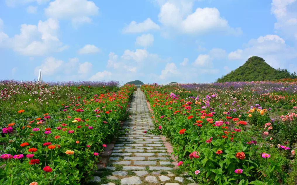 彝山花谷景区图片