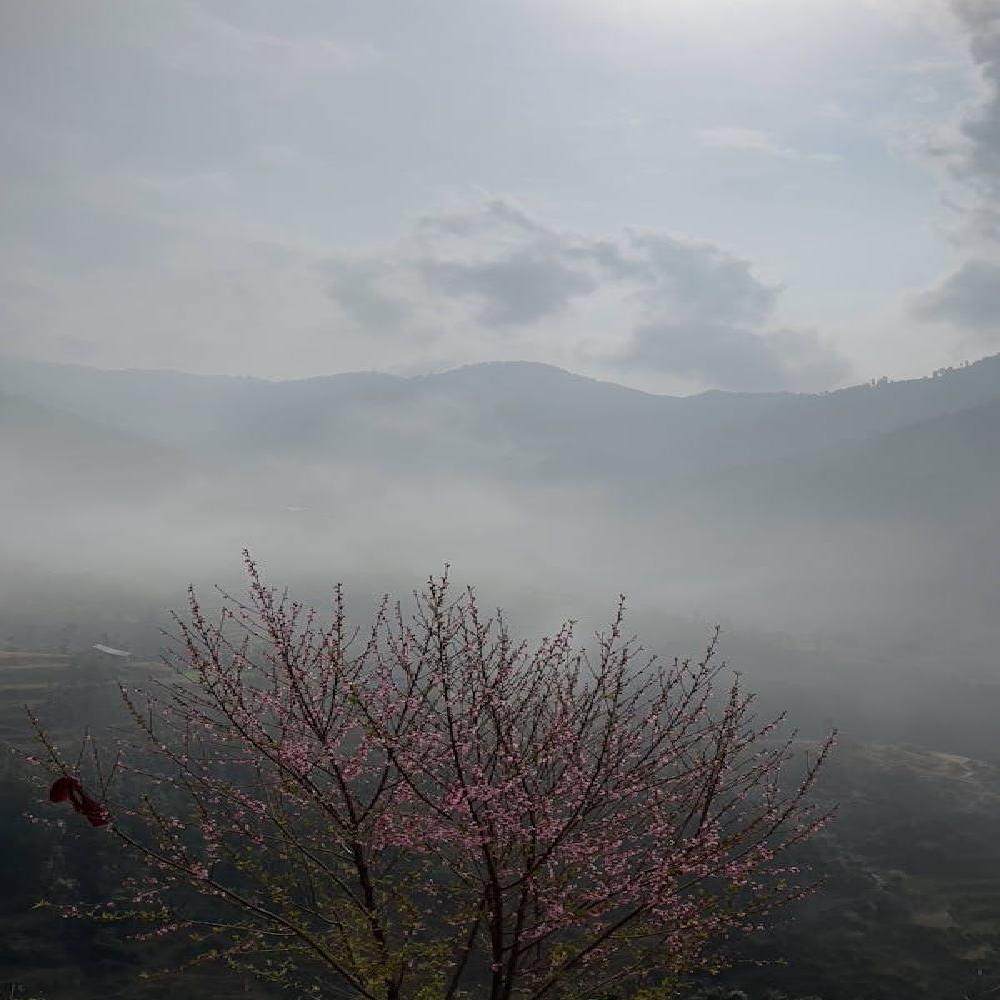 【周末度假】安吉云上草原竹海3天2晚私家团 - 定制游预订