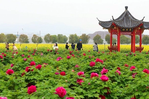 天香湾景区